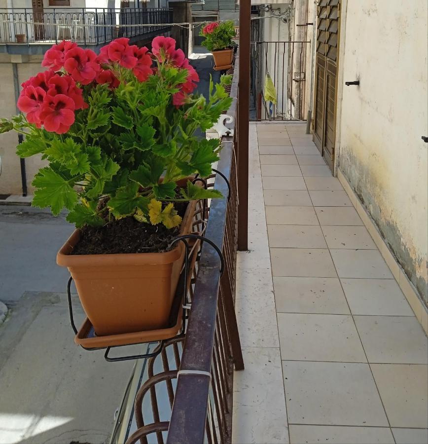 B&B La Casa Dell'Ospite 格拉维纳普利亚 外观 照片